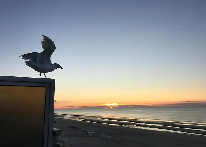 Zeedijk44 - Frontal Sea View Penthouse *